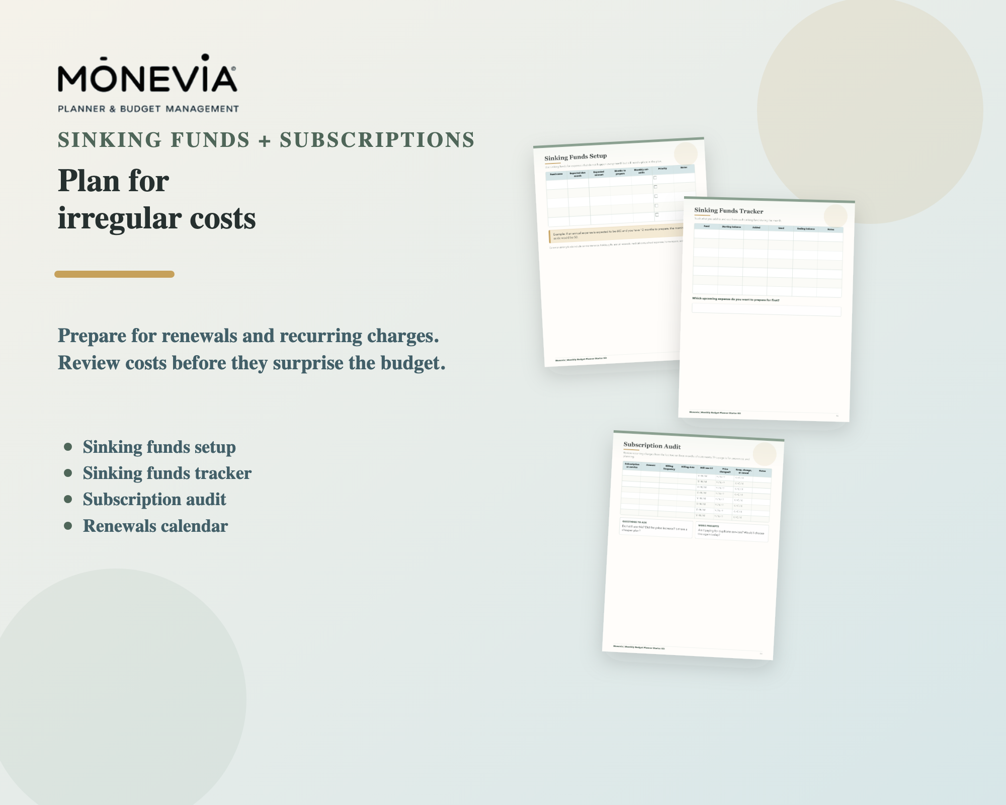 Sinking funds and subscription audit worksheet previews