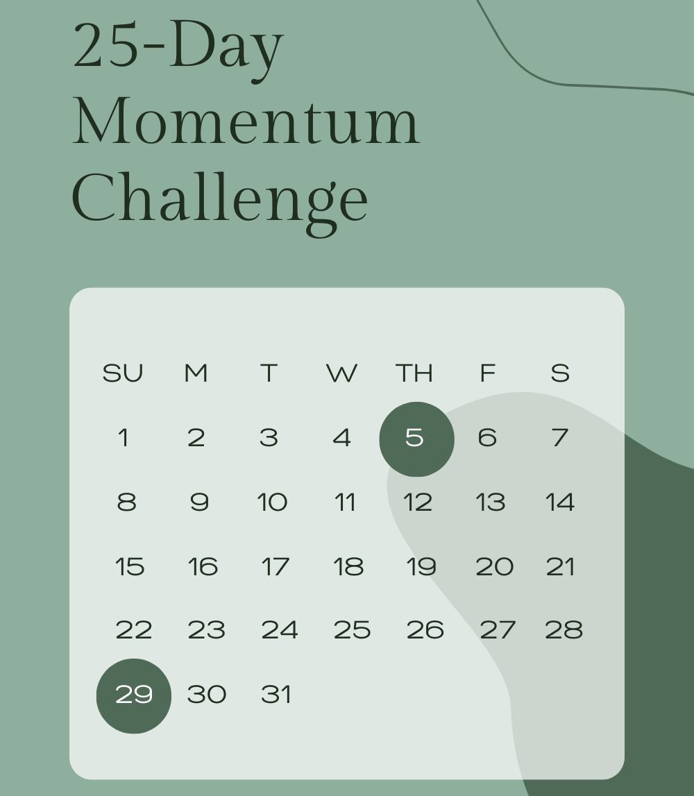 Monevia Wise Budget Planner