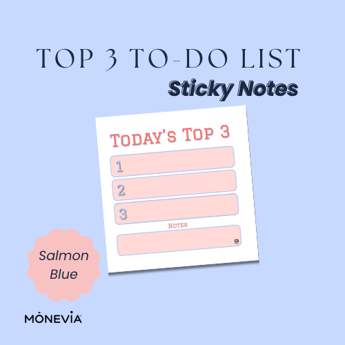 Salmon Blue Sticky Notes